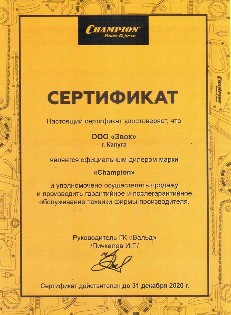 Ремонт бензопил - Звох - продажа и ремонт электро- и бензоинструмента в  Калуге